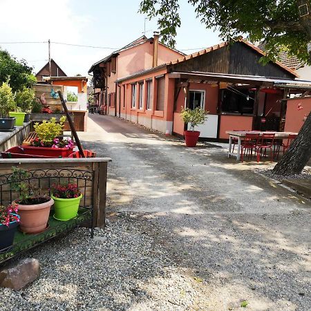 Gites & Camping On The Route Des Vins Bergheim Exterior photo