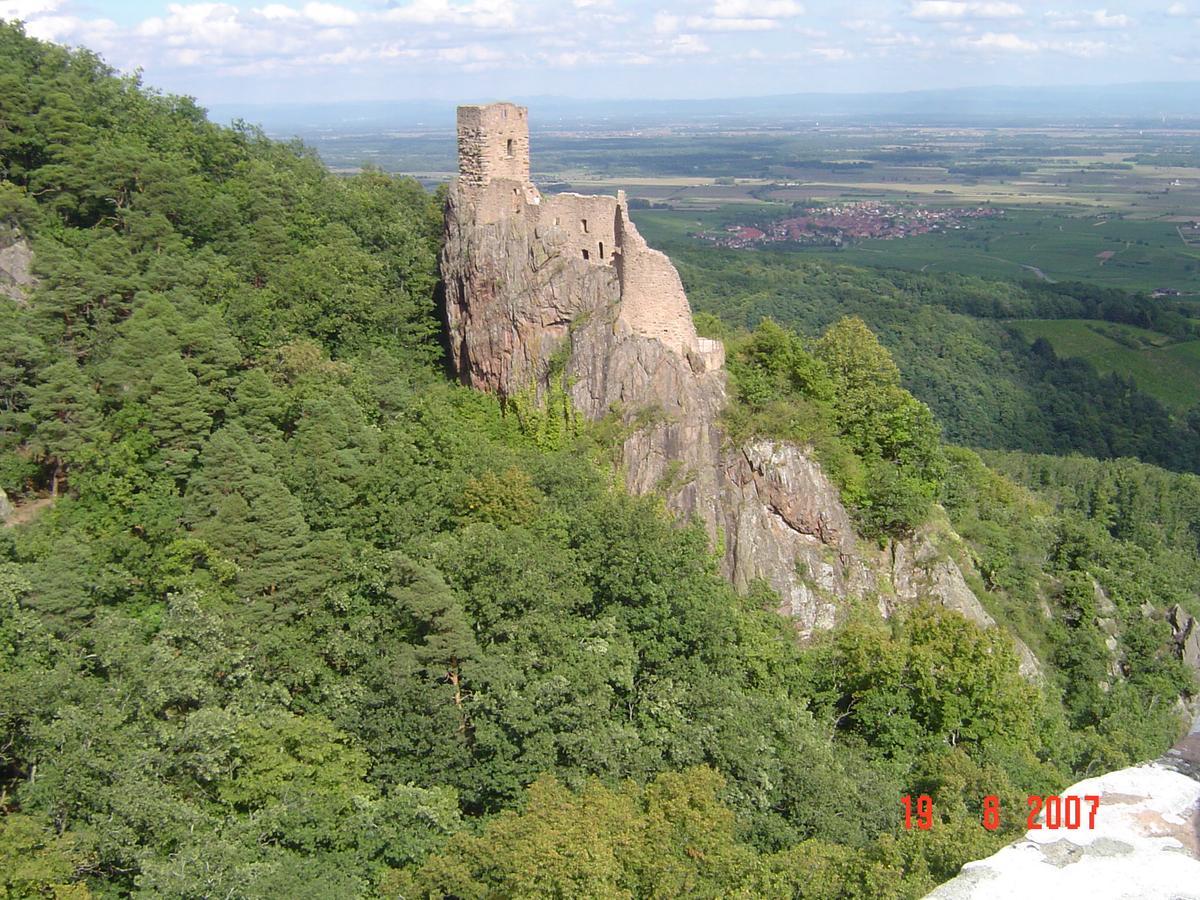 Gites & Camping On The Route Des Vins Bergheim Exterior photo