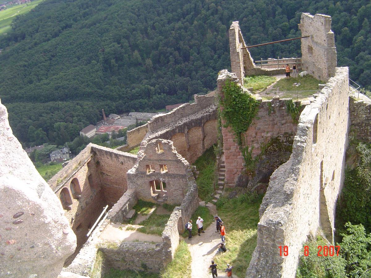 Gites & Camping On The Route Des Vins Bergheim Exterior photo