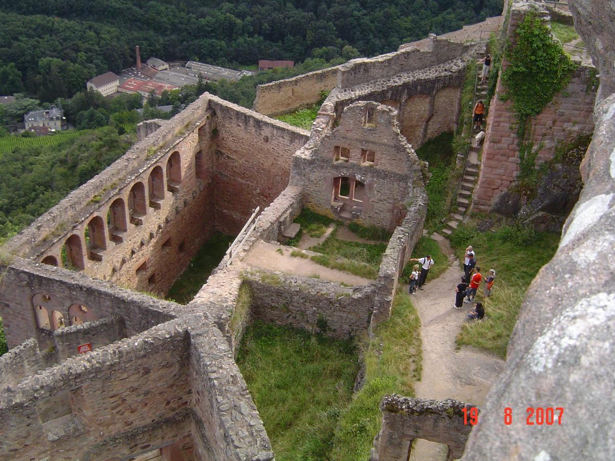 Gites & Camping On The Route Des Vins Bergheim Exterior photo